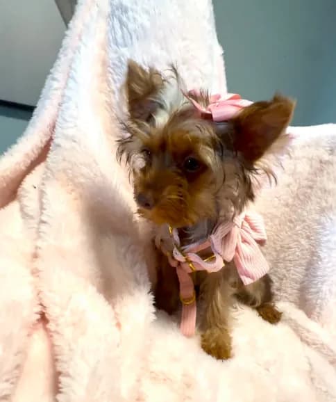 Emmie Chanel