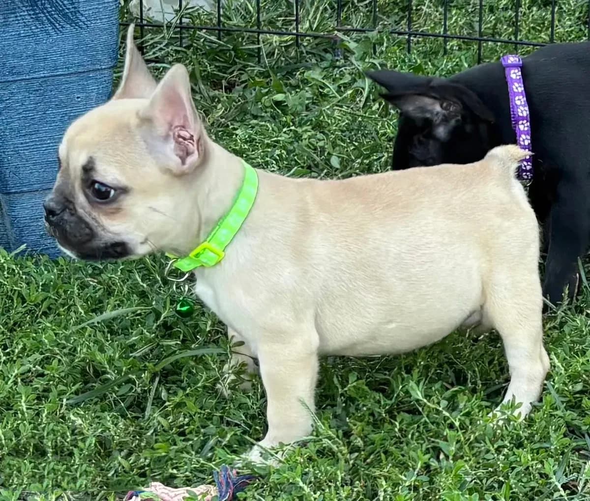 Kimberly
