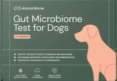 Gut Microbiome Test for Dogs