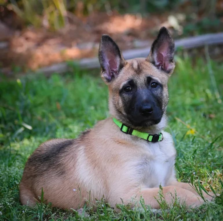 Esther