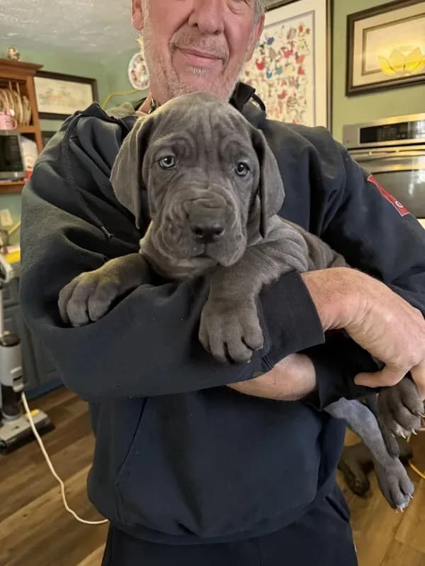 pup 10