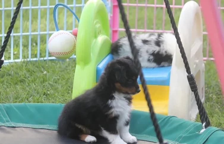 Bolt