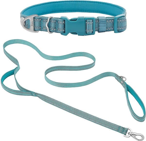 Collar and Leash