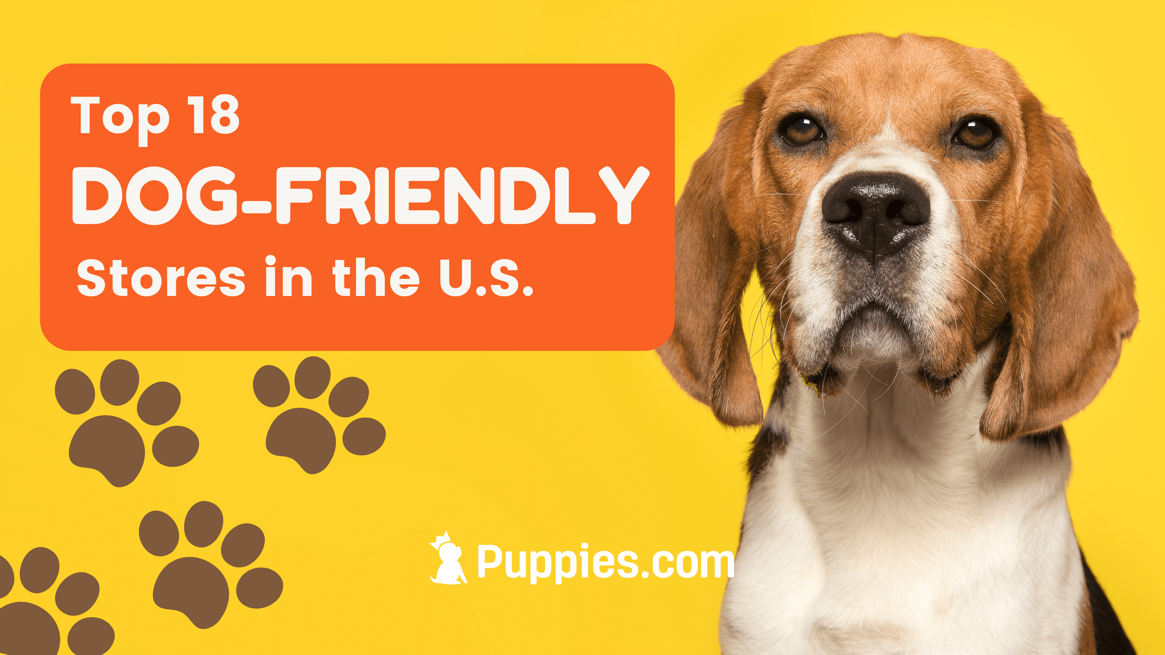 Pawsitively Welcoming: A Guide to Pet-Friendly Stores