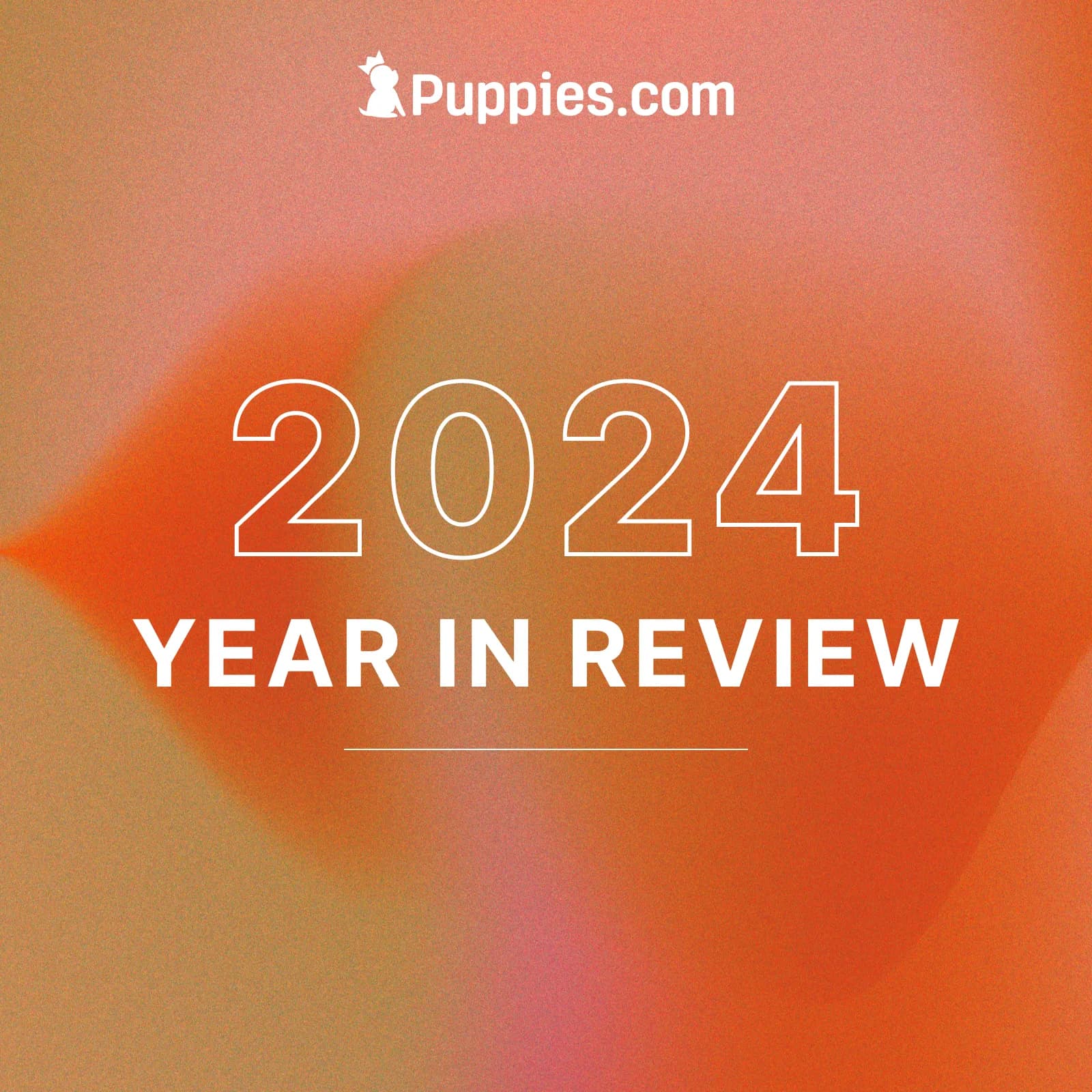 Celebrating 2024 – A Paw-sitive Year at Puppies.com!