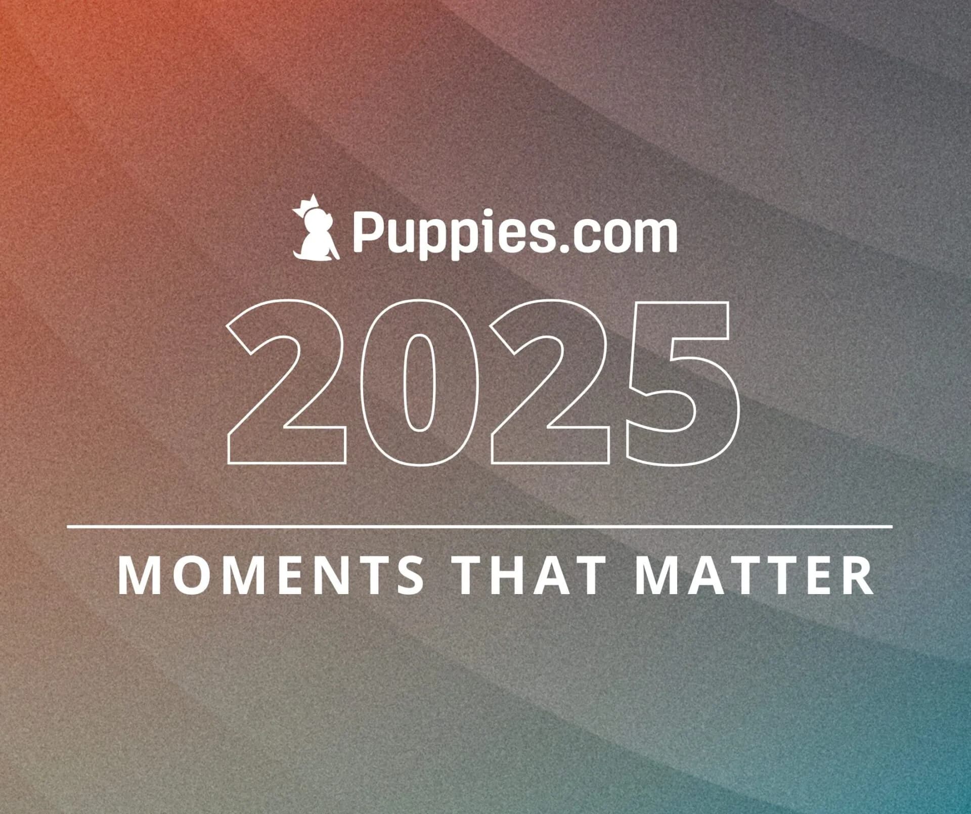 Celebrating 2025 – A Paw-sitive Year at Puppies.com!