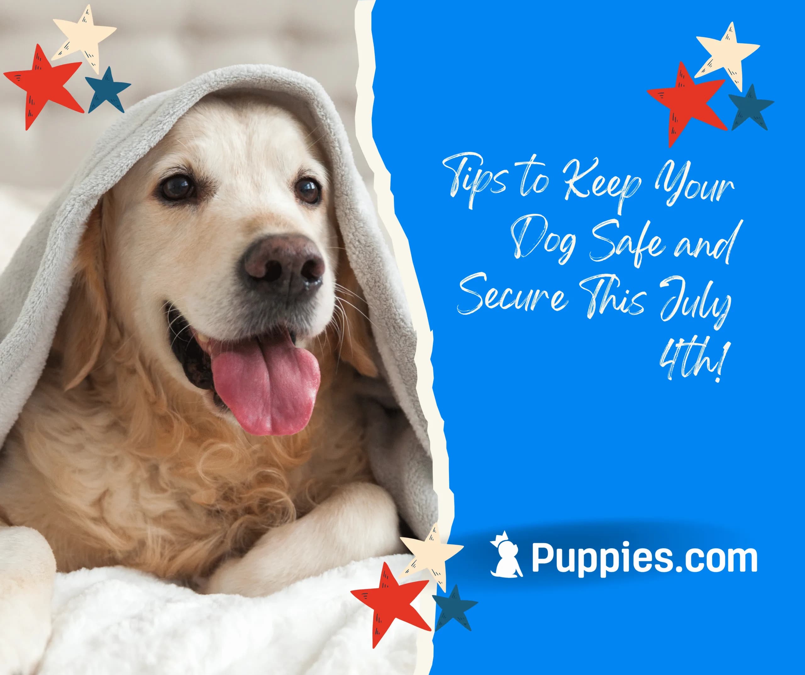 Protect Your Pets by Avoiding These Classic 4th of July Foods