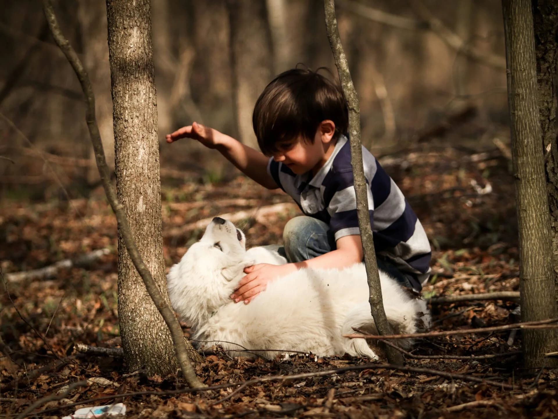 Defending Against Fleas and Ticks: A Comprehensive Guide for Dogs and Their Humans