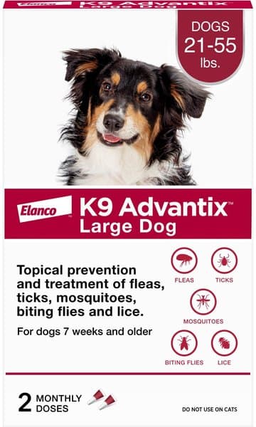 Flea & Tick