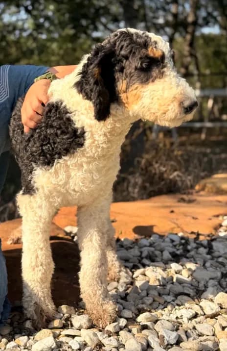 Barclay